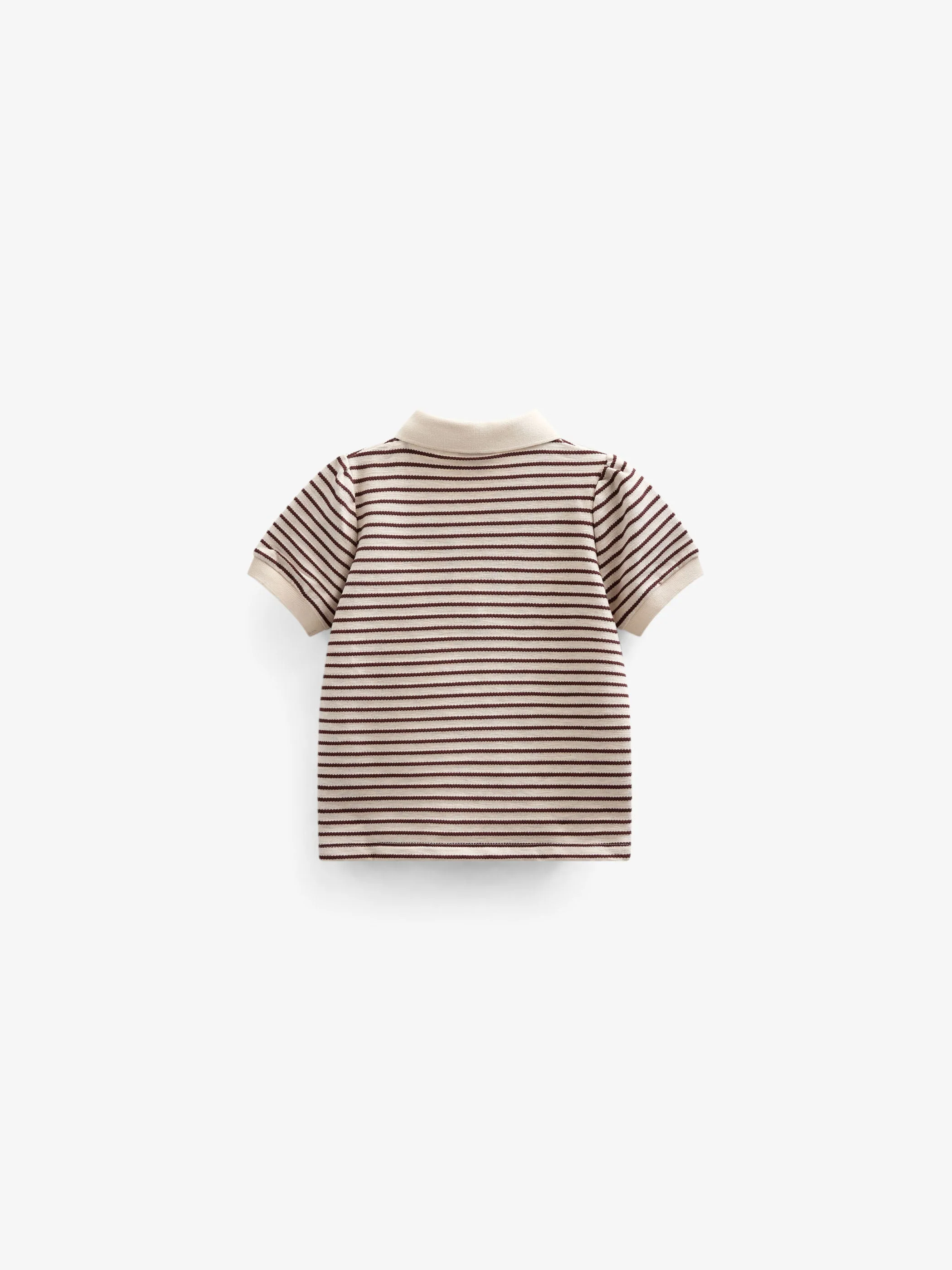 Miniatuur 3